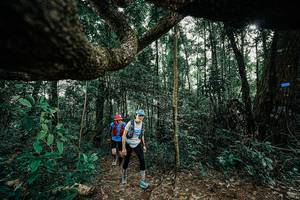 BIB: 
                            <button type="button" onclick="openModal(25391078)" class="btn btn-primary btn-sm float-right btn-popup" data-toggle="modal" data-target=".modal-high-quality">
                        <i class="fas fa-shopping-cart"></i> Add to Cart
                    </button>
                                            <button type="button" onclick="isThisMe(25391078, true)" class="btn btn-success btn-sm float-right btn-popup btn-isme hidden" data-toggle="tooltip" data-placement="bottom" title="นี่คือรูปของคุณใช่ไหม คลิกที่นี่เพื่อเอาเข้าอัลบั้ม">
                        <i class="fas fa-plus"></i> Add to album
                    </button>
                    <button type="button" onclick="isThisMe(25391078, false)" class="btn btn-warning btn-sm float-right btn-popup btn-isnotme hidden">
                        <i class="fas fa-ban"></i> Remove from album
                    </button>